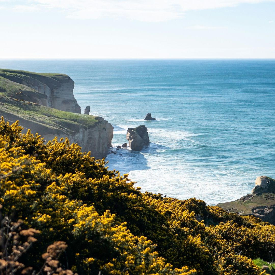 Dunedin Cliff