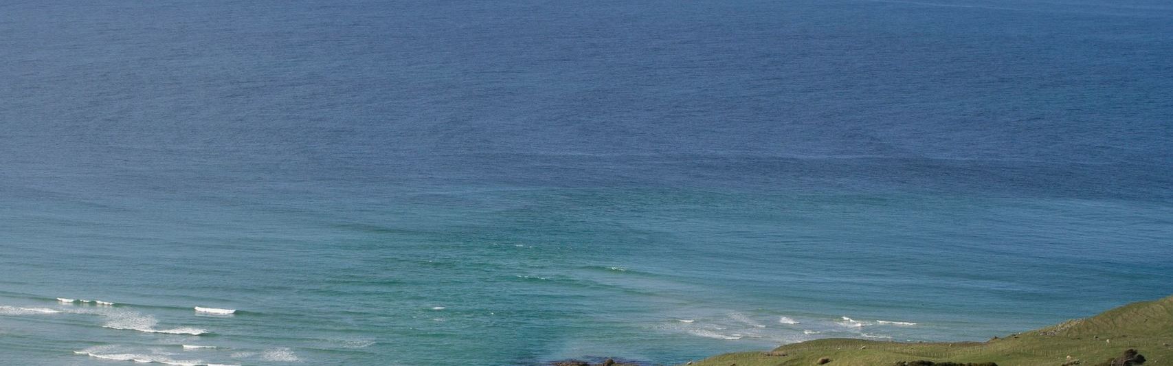 Developer Experience Without the Hype