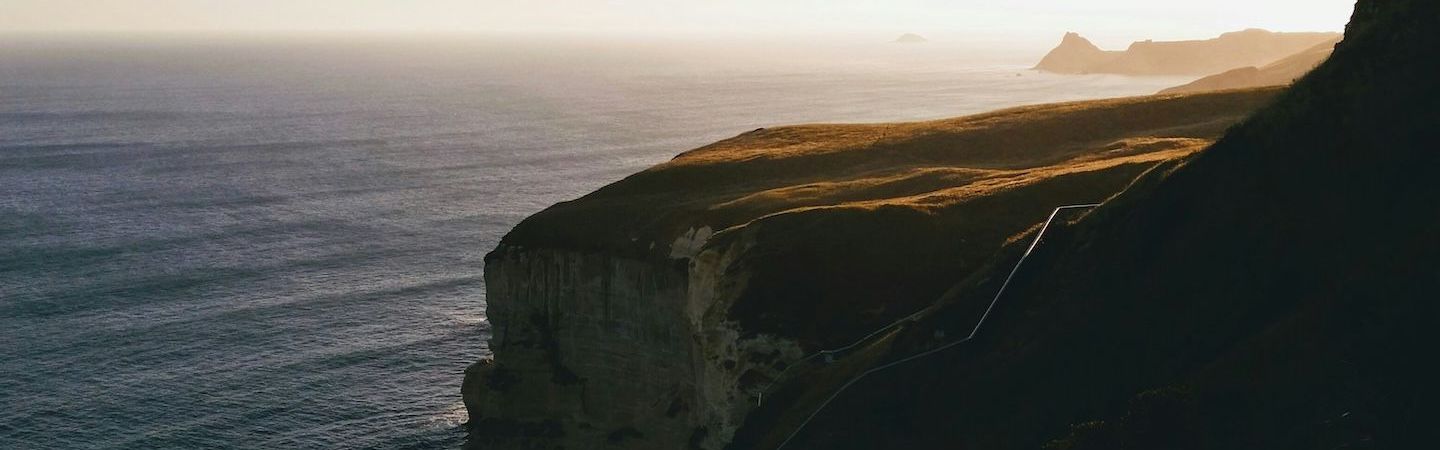 Presets That Remove All the Early Busywork